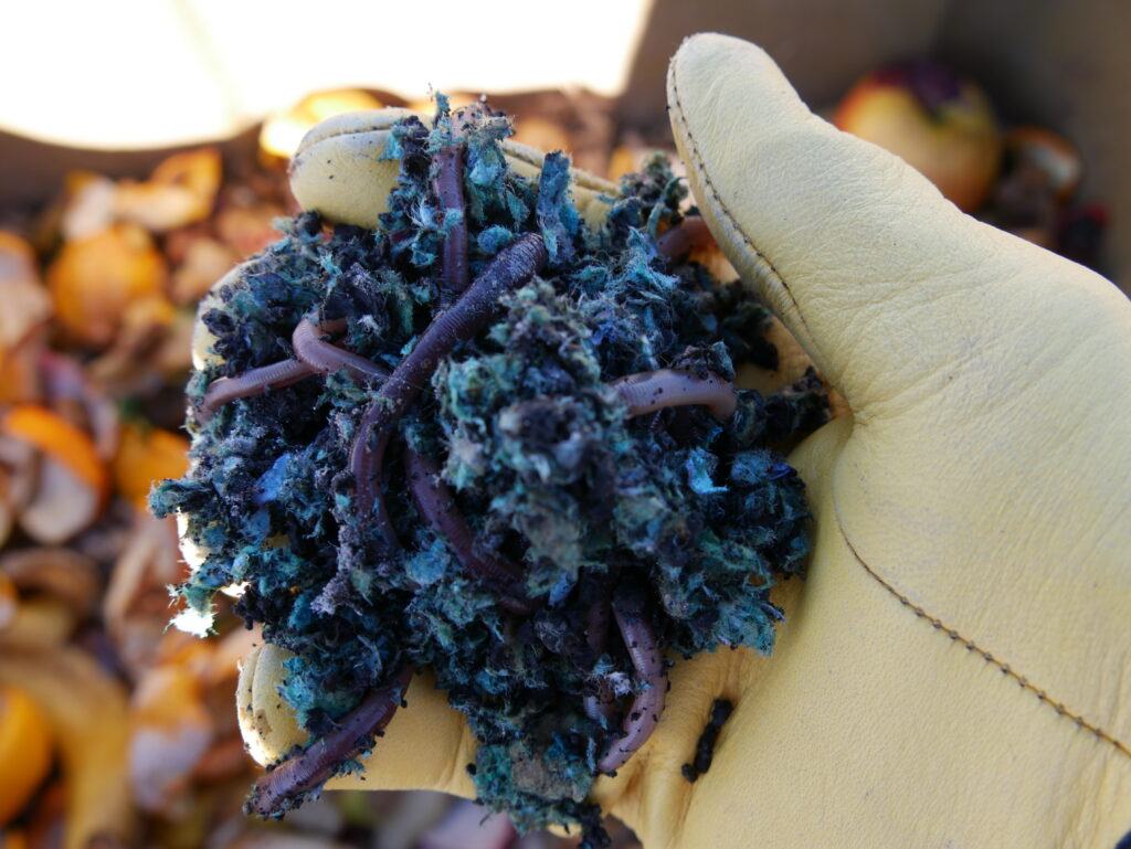 Urban Worm Composting: In Simple Terms