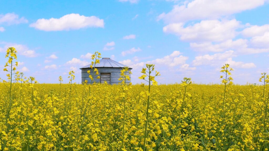 Off The Grid Living Ideas: Up-cycle Home